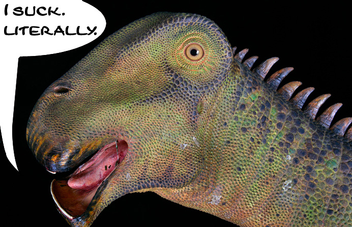 nigersaurus.jpg