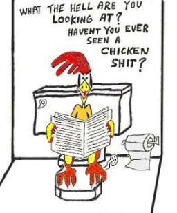 Chicken%20Shit[1].jpg