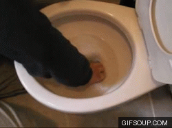 crapodile-s.gif