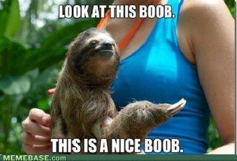 slothboob_zps0ff56b0c.jpg