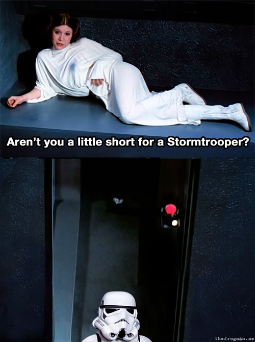 short.jpg