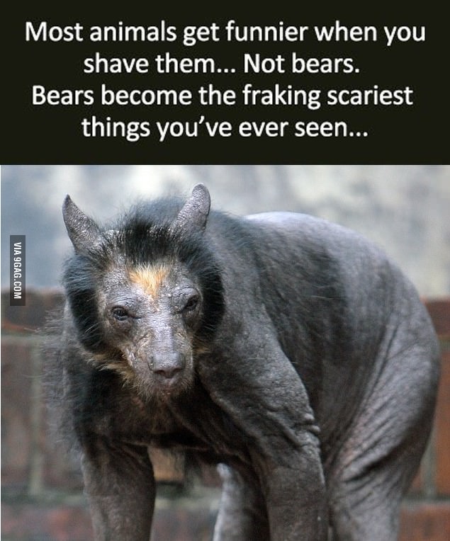 I-thought-they-were-scary-when-they-were-fuzzy.jpg